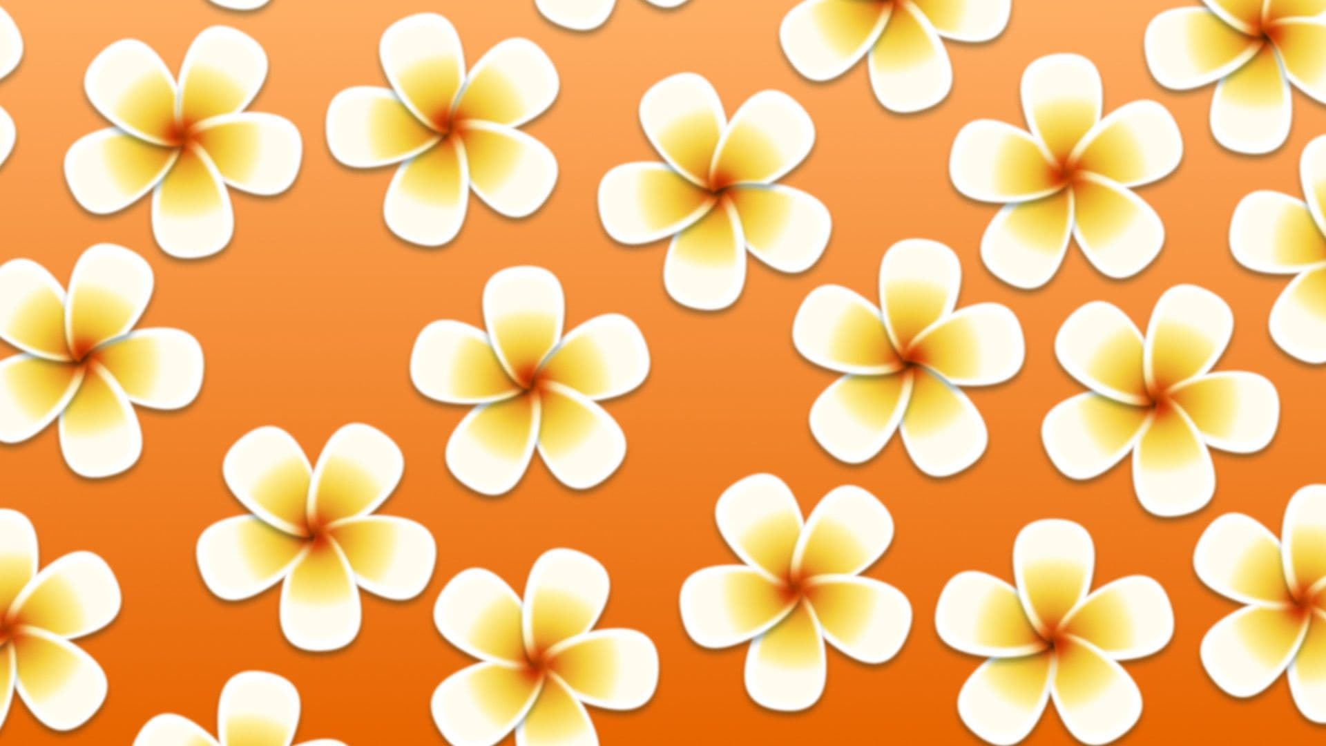 Illustration of white and yellow plumeria against orange background